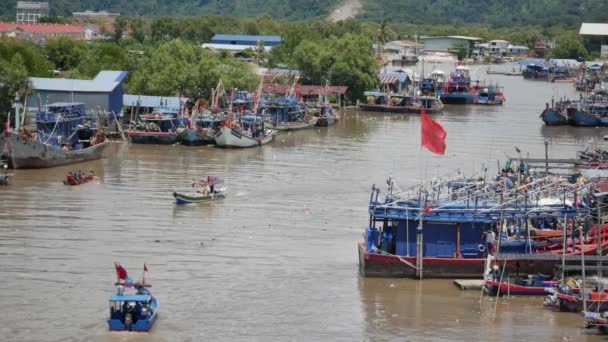 Aziatische Openingsvogels Vliegen Een Open Veld Bukit Mertajam Penang Maleisië — Stockvideo