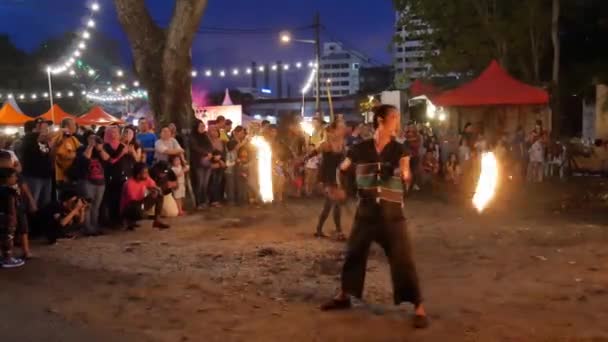 Bukit Mertajam Penang Malezya Güneydoğu Asya Açık Bir Çeltik Tarlasında — Stok video