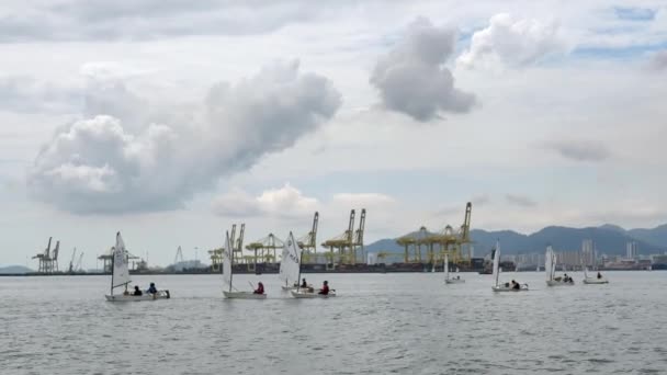 Bukit Mertajam Penang Malezya Güneydoğu Asya Açık Bir Çeltik Tarlasında — Stok video