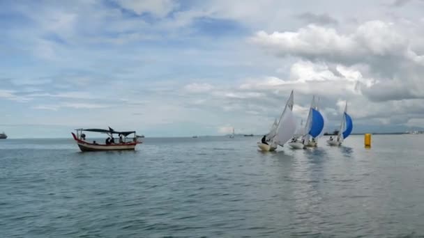 Ázsiai Nyíltvízi Madarak Repkednek Egy Nyitott Rizsföldön Bukit Mertajam Penang — Stock videók