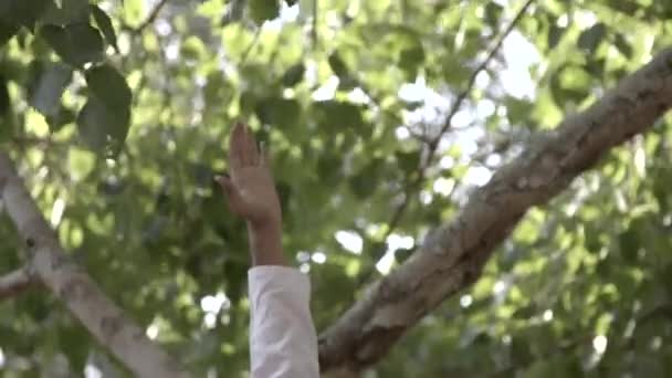 Asian Man Practices Yoga Poses Front Some Temples — Stock Video