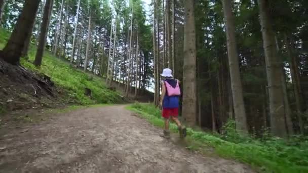 Criança Caminhando Caminho Florestal — Vídeo de Stock