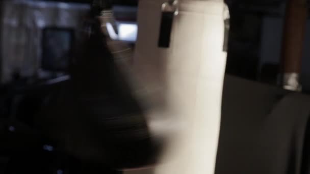 Punching Bag Repeatedly Hit Rhythm — Stock Video