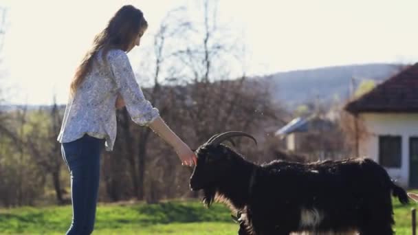 Bella Signora Caucasica Vestita Casual Accarezzare Una Capra Nera Nel — Video Stock