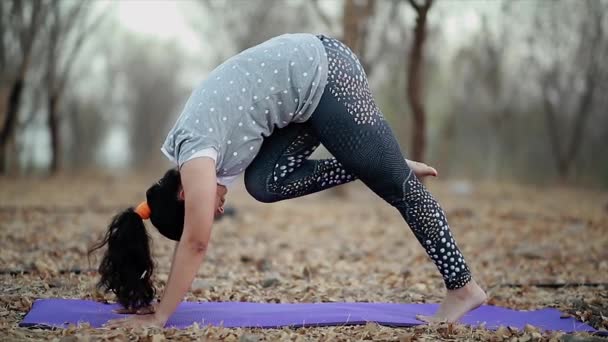 mladé ženy cvičící jógu, jógu a meditaci mohou zvrátit DNA