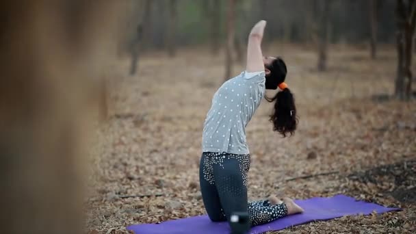 Giovani Donne Che Fanno Yoga Potere Dello Yoga Della Trascendenza — Video Stock