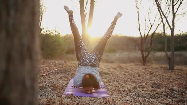 Jeunes Femmes Faisant Yoga Yoga Méditation Dans Petite Vie Couper — Video