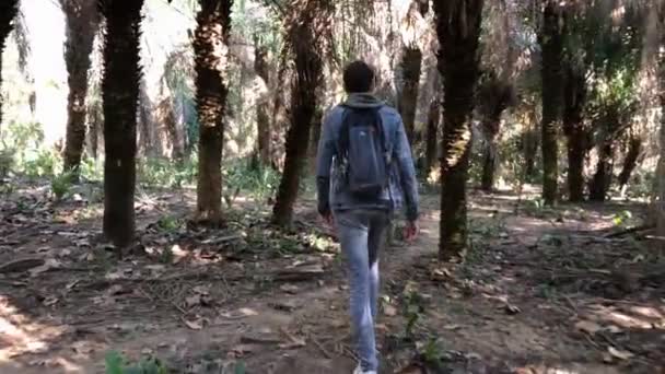 ブラジルのヤシの木に囲まれたジャングルの中の観光ハイキング — ストック動画