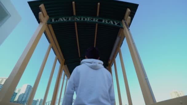 Молодой Турист Прогуливается Причалу Гавани Лавендер Бэй Сидней Осматривается Движение — стоковое видео