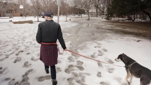 Людина Собака Йдуть Снігом Поспішають — стокове відео