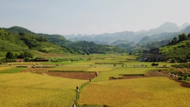 道路に向かって 人々が水田を歩く上で農村部のベトナムの上空 — ストック動画
