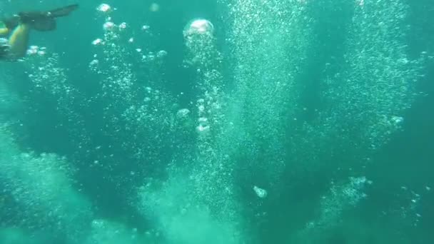 Resifin Üzerinde Şnorkelle Yüzen Bir Gencin Fotoğrafları — Stok video