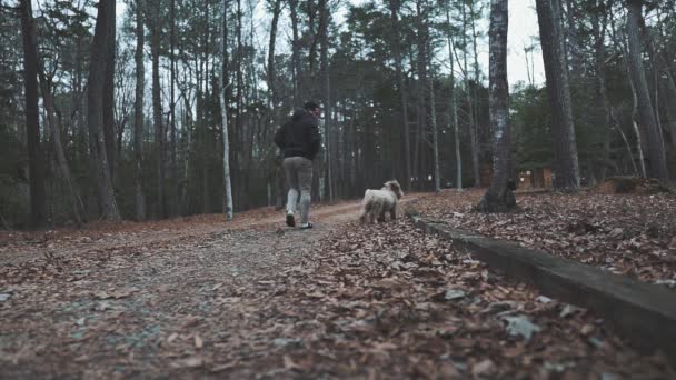 一个男人和他的小狗在森林里小径上散步的片段 — 图库视频影像
