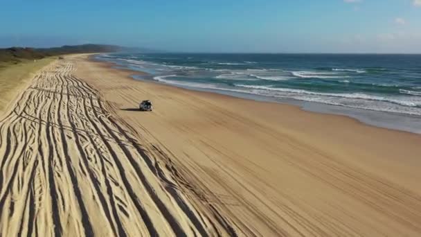 4Wd Kjører Strand Australia – stockvideo