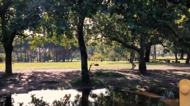 Tonårspojke Går Förbi Damm Park Och Håller Sin Svävarbräda — Stockvideo