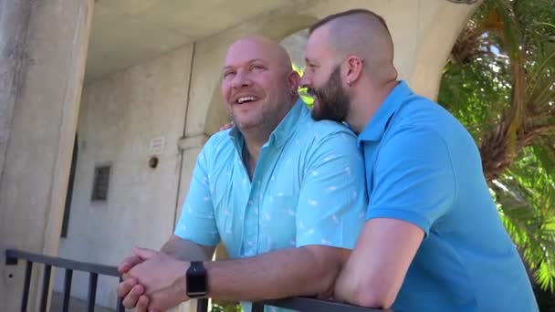 Houden Van Gay Paar Vakantie — Stockvideo