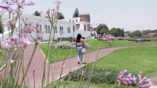 Widok Tyłu Dziewczyna Spacerująca Parku Słoneczny Dzień Purpurowe Kwiaty Pierwszym — Wideo stockowe