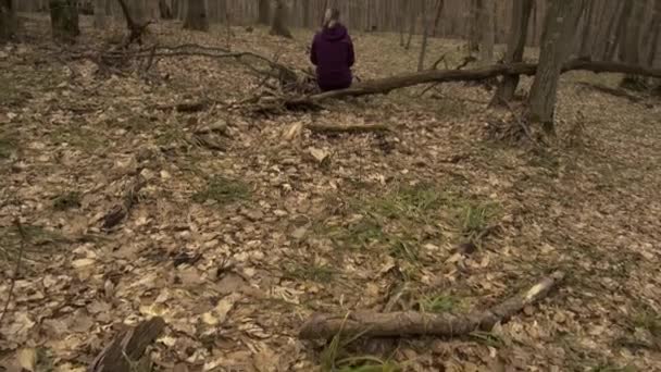 冬にルーマニアのHoia Baciu森林の倒木に休息バックパック付きの紫色のジャケットの女性 Tilt — ストック動画