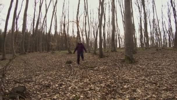 若い女性だけでは 森の下り坂を歩くハイキング ルーマニアの幽霊ホイアンBaciu森の中で寒さ 空の風景 ハイカーは山の中をさまよっていました — ストック動画