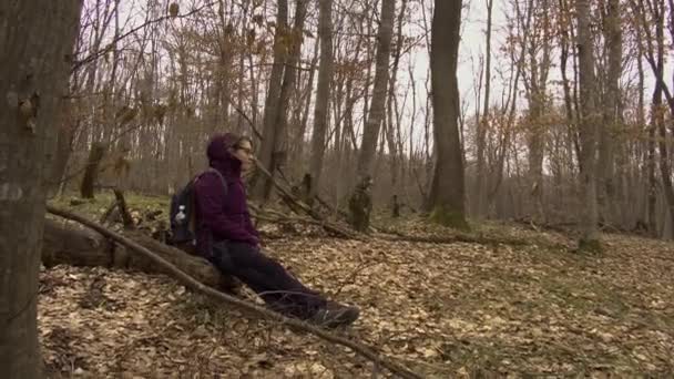 森林中妇女坐在倒下的树上休息的低角度侧视图 徒步旅行者休息一下一位孤身一人 迷茫的女士在等待着从霍亚 巴苏的森林里被救出来时 显得很伤心 — 图库视频影像