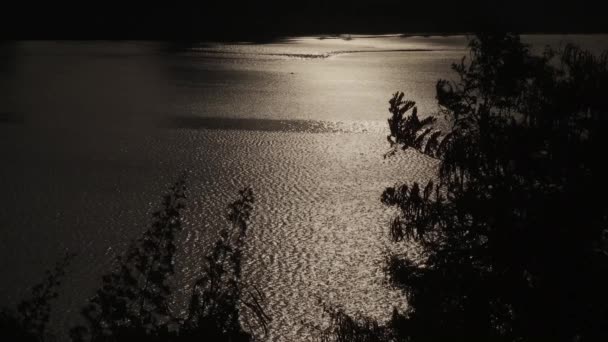 位于阿比让市的大西洋海岸线的晚景 日落之后 — 图库视频影像