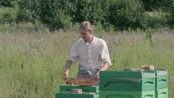 Muž včelař vytahuje včelí hřeben z úlu a kontroluje louku