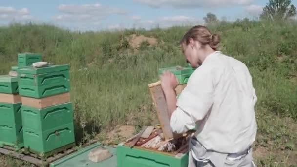Erkek Arı Yetiştiricisi Arıları Ahşap Bir Fırçayla Bal Peteğinden Temizler — Stok video