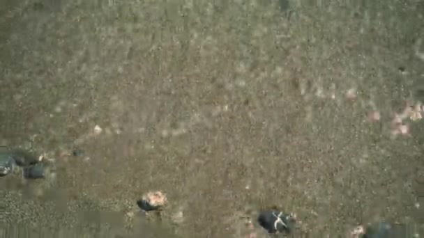 Olas Tranquilizadoras Una Playa Tropical Italia — Vídeo de stock