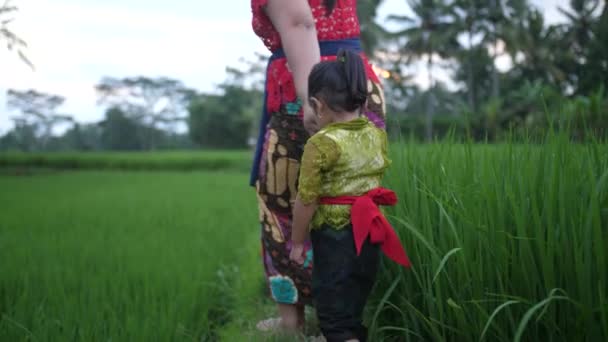 在妈妈牵着她的手和家人走进稻田之前 甜美的印尼女孩对着摄像机笑了 巴厘稻田里穿着鲜艳衣服的巴厘家庭 热带岛屿 打起精神来 — 图库视频影像
