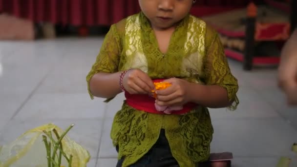 小女孩从包里抽出花朵 把它们撕碎 用她和妈妈一起做的印度教祭品中的花瓣 印度尼西亚文化和宗教 — 图库视频影像