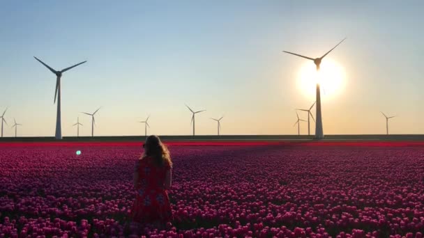 Menina Campo Tulipas Turbinas Eólicas Pôr Sol Holanda — Vídeo de Stock