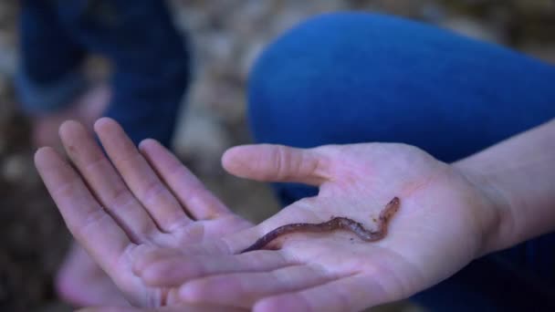 一个女人在探索自然的过程中向一个小男孩展示蚯蚓 — 图库视频影像