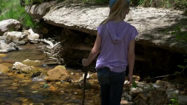 Ένα Νεαρό Κορίτσι Εξερευνά Ένα Ποτάμι Στο Δάσος Ένα Μπαστούνι — Αρχείο Βίντεο