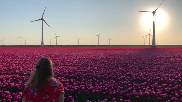 Dívka v poli tulipánů a větrných turbín házení květin ve vzduchu, zpomalení