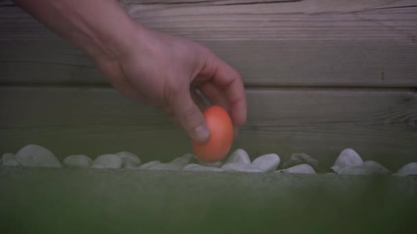 Los Huevos Pascua Están Siendo Recogidos Frente Una Pared Madera — Vídeos de Stock