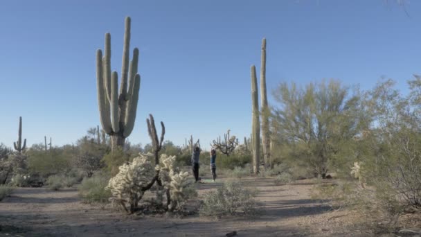 Reggeli Nyújtózkodás Gyakorlatok Sivatagban Reggel — Stock videók