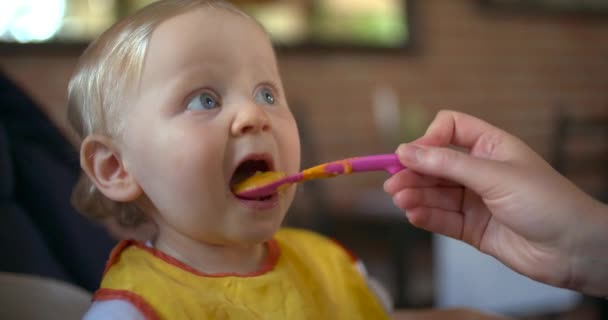 Kleines Mädchen Isst Babynahrung — Stockvideo