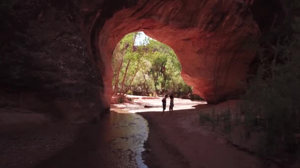 Homme Agenouille Demande Mariage Petite Amie Sous Une Magnifique Arche — Video