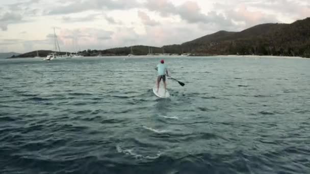 Drone Följer Som Stand Paddla Boarder Rader Mot Kuperad Karibien — Stockvideo