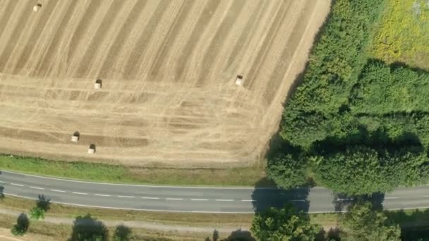 Vista Aérea Las Tierras Cultivo Campo Trigo Alemania Durante Temporada — Vídeos de Stock