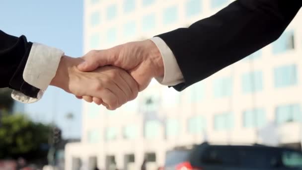 Business Deal Business Man Woman Shake Hands Real Time Corporate — 비디오