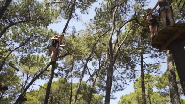 Tonåringar Travers Rep Hinder Träd Topp Äventyr Park — Stockvideo