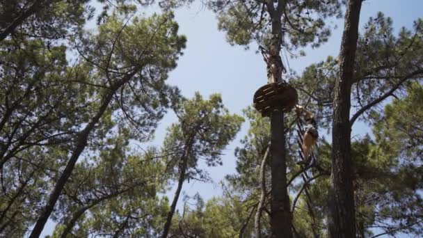 Adolescente Monte Échelle Jusqu Plate Forme Haute Dans Rope Tree — Video