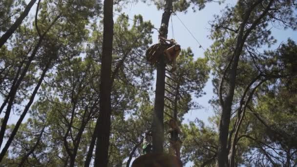 Menina Sobe Escada Corda Até Alta Plataforma Parque Aventura Árvore — Vídeo de Stock