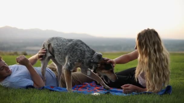 かわいい彼氏とガールフレンドのショット毛布の上に横たわって 彼らのペット犬と遊んでいる間 草の上にピクニックを持っている — ストック動画