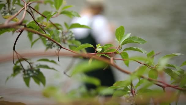 Slow Motion Shot Caucasian Male Fisherman Preparing His Hook While — Stock Video