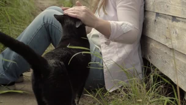 Mujer Jardín Hace Amigos Con Amistoso Negro Blanco Gato — Vídeo de stock