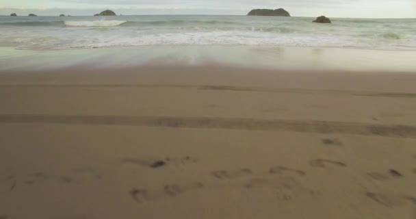 Bellissimo Fotografo Seduto Sulla Spiaggia Con Volo Aereo Verso Onde — Video Stock