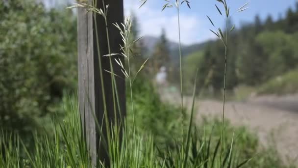 Lelőttek Egy Quadot Aki Nagyon Gyorsan Hajtott Sarkon Egy Nagy — Stock videók