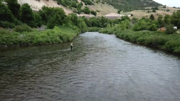 Drone Tiro Aproximando Homem Fly Fishing Rio Provo Nas Montanhas — Vídeo de Stock